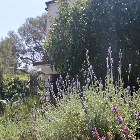 Cappelli Apartments - Losinj Mali Lošinj Eksteriør bilde